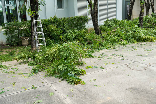 Best Weed Control  in Huntington, TX